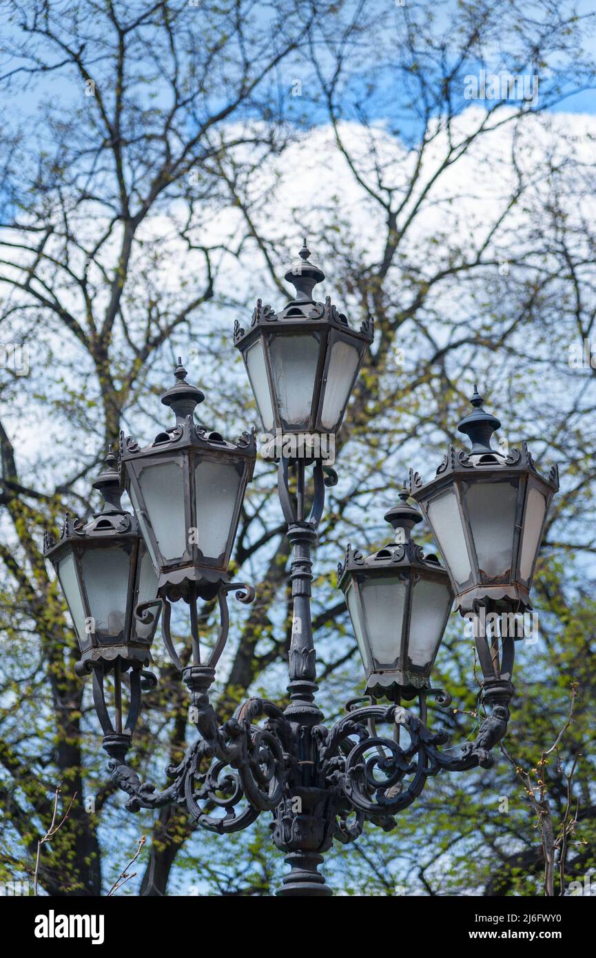 Old street lantern lighting on facade of building. Twilight on city