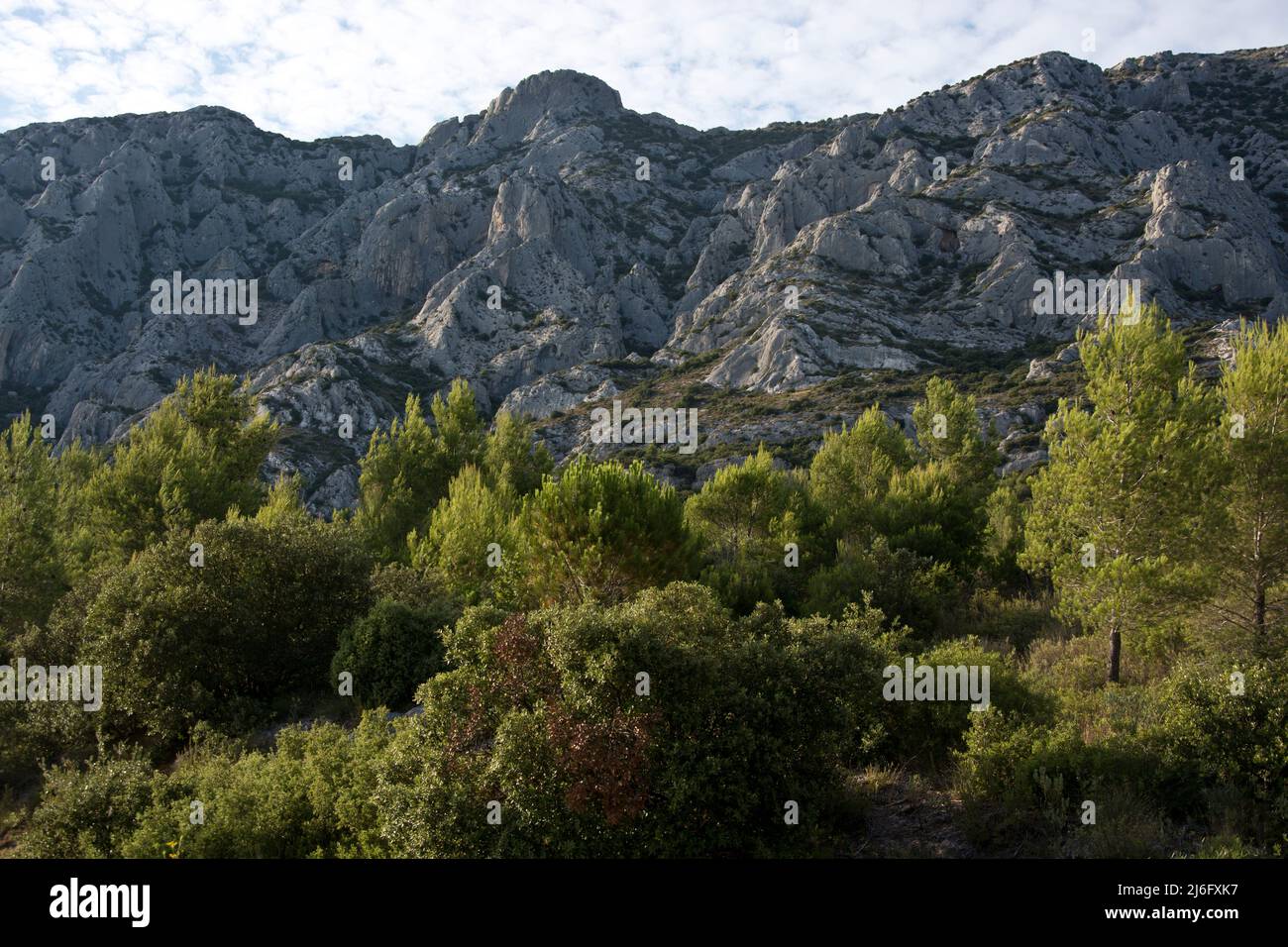 Die spektakuläre Montagne Sainte-Victoire, Kalksteingebirge im Süden Frankreichs in der Nähe von Aix-en-Provence Stock Photo