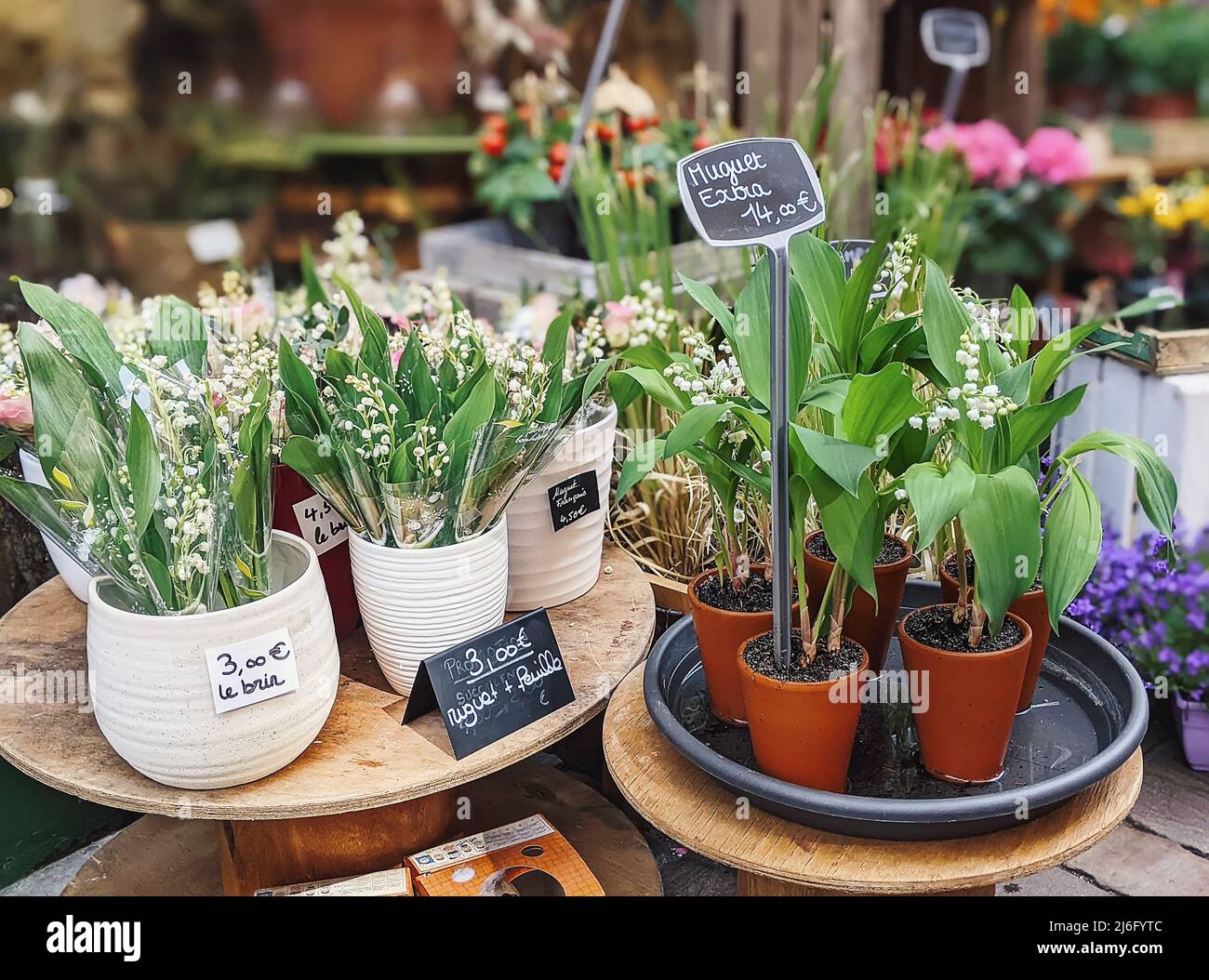 Lily of the valley day in France, selling bouquets on the streets, jour de Muguet. Stock Photo