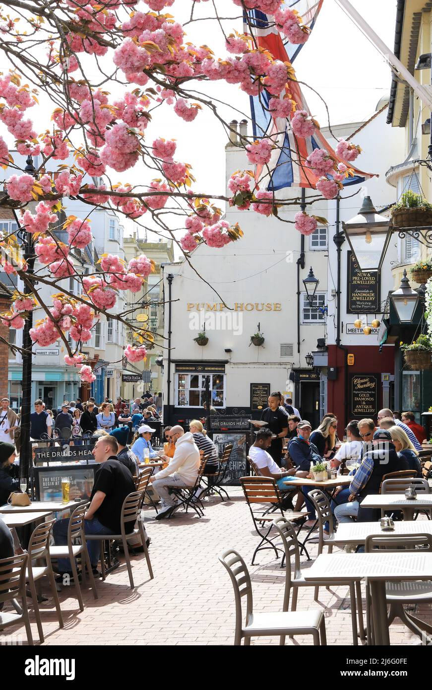 Spring blossom by the Druids Head pub on Brighton Place in the famous ...