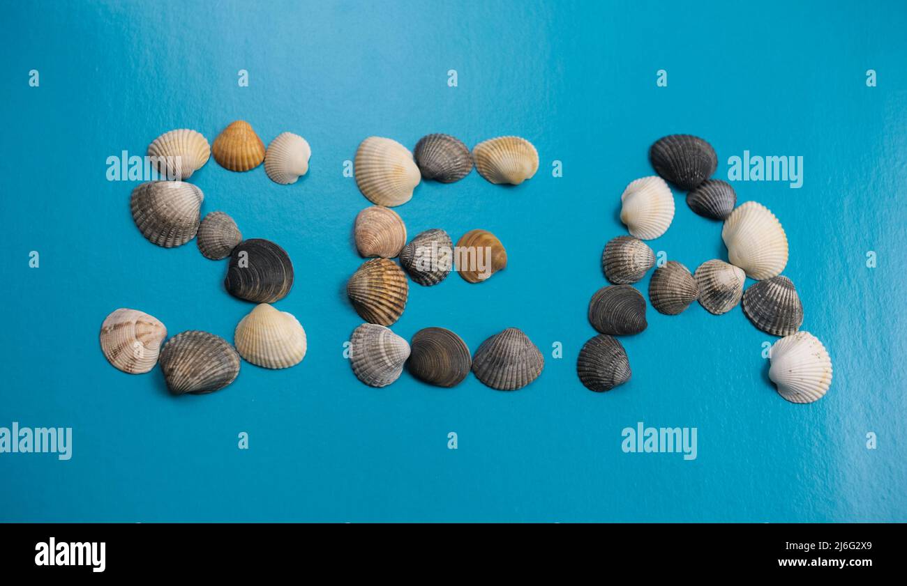 Flatlay shells forming the word sea on a blue background Stock Photo