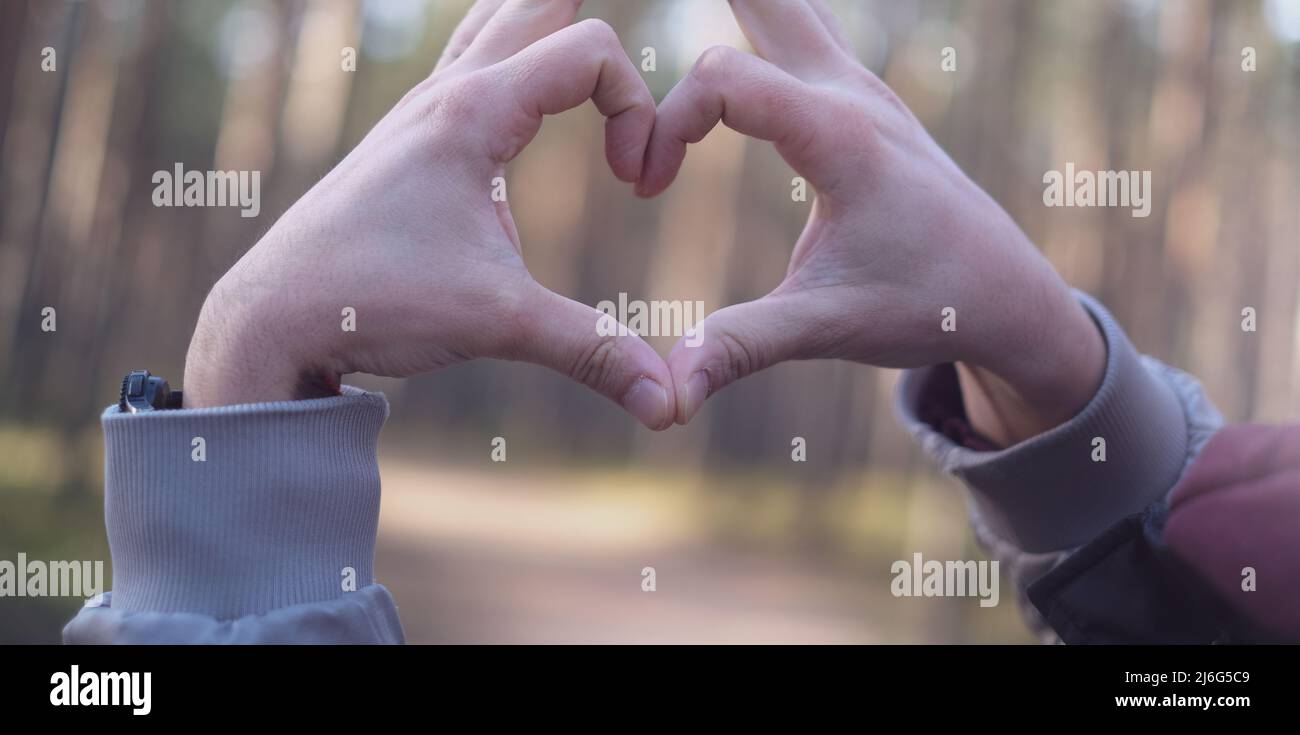 Mans hands folded into a heart symbolizing love and feelings against the backdrop of a forest landscape. Romantics concept Stock Photo