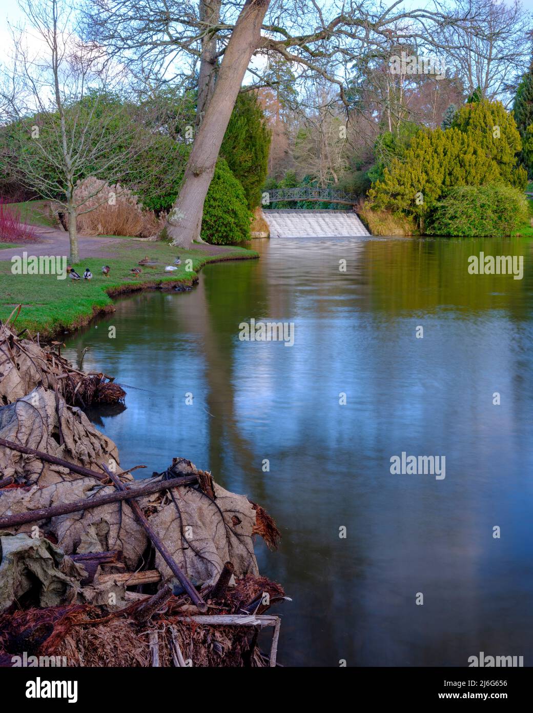 Sheffield Park, UK - January 5, 2022: Mid-winter afternoon light on the ...