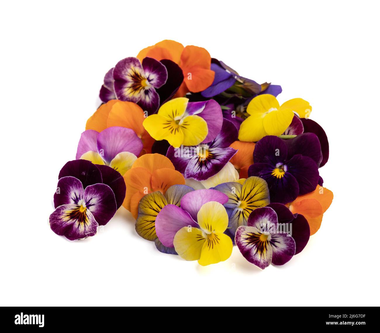 Edible flowers of all colours for the presentation of dishes on a white background Stock Photo