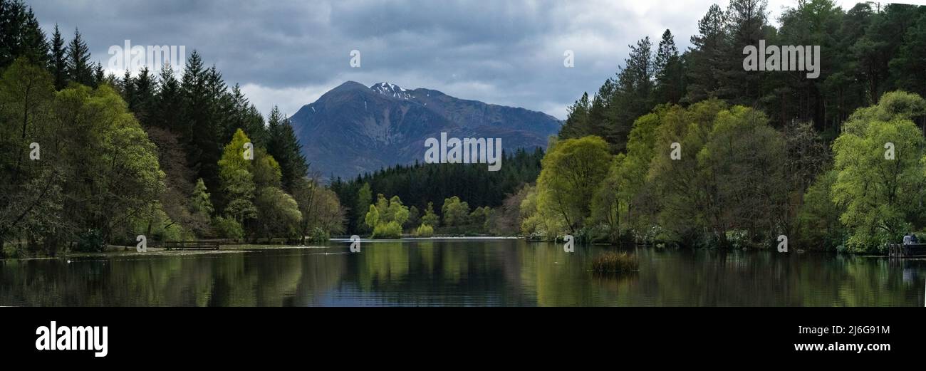 Trees and reflections at Glen Lochan, Glencoe, Scotland Stock Photo