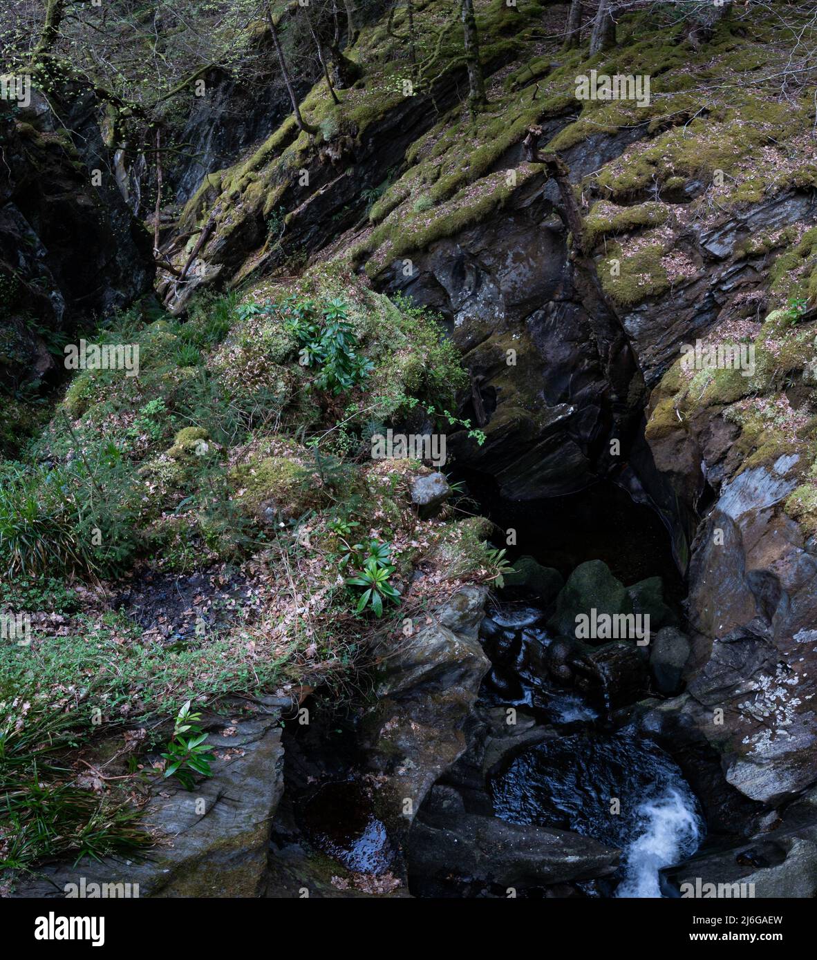 River gorge, Sutherlands Grove, Barcaldine, Scotland Stock Photo