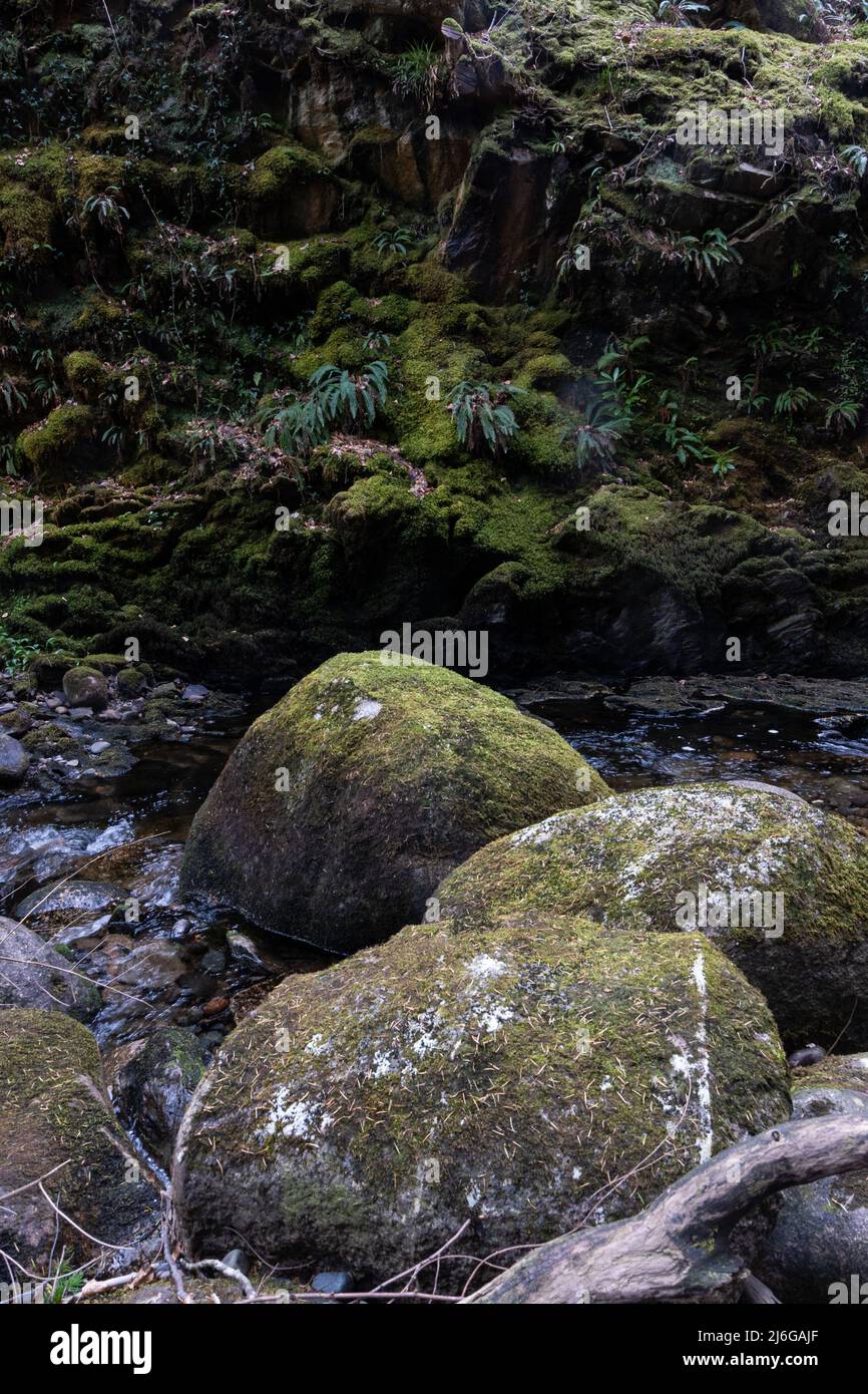 River gorge, Sutherlands Grove, Barcaldine, Scotland Stock Photo