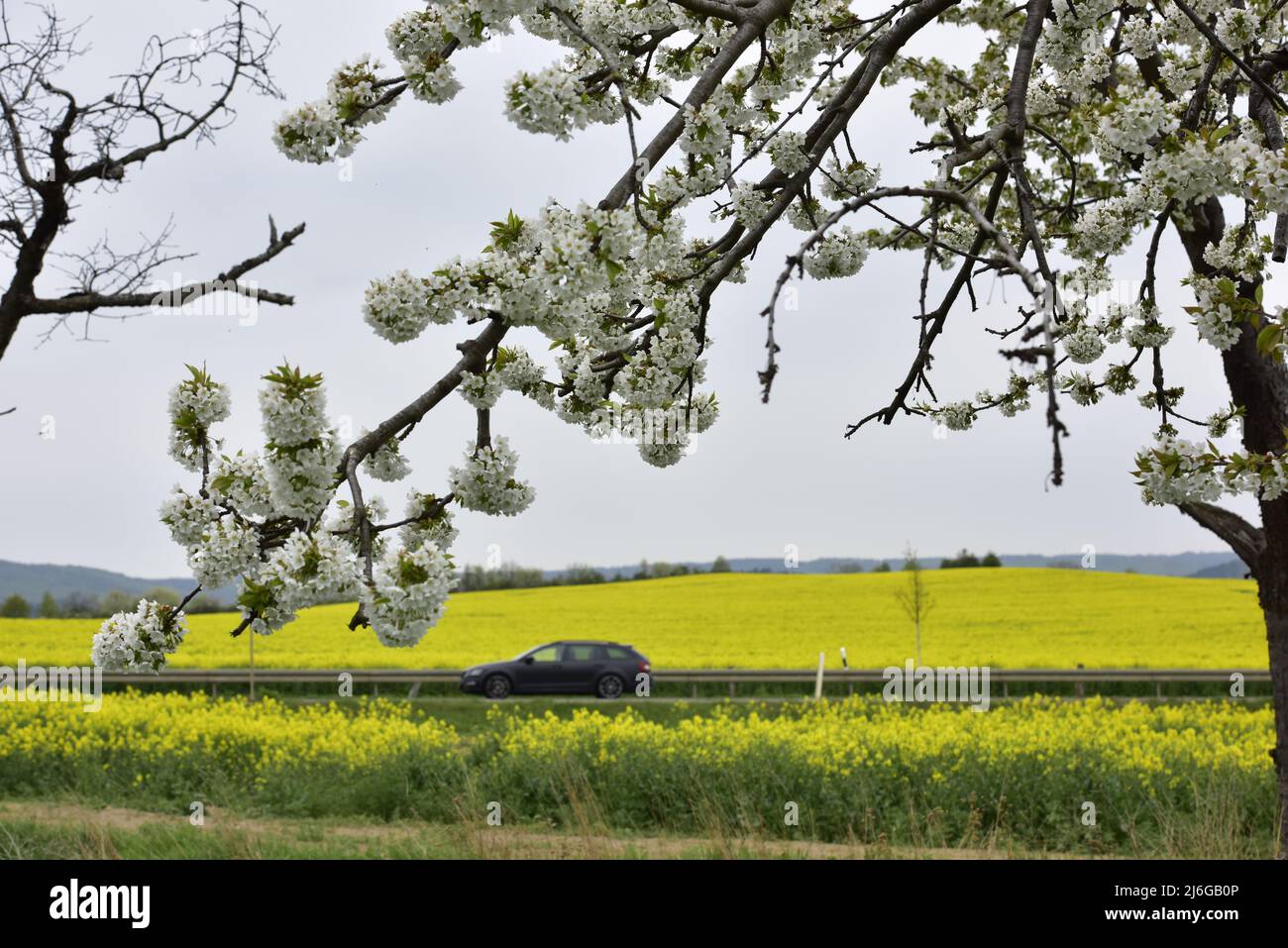 Teiche in sachsen hires stock photography and images Alamy