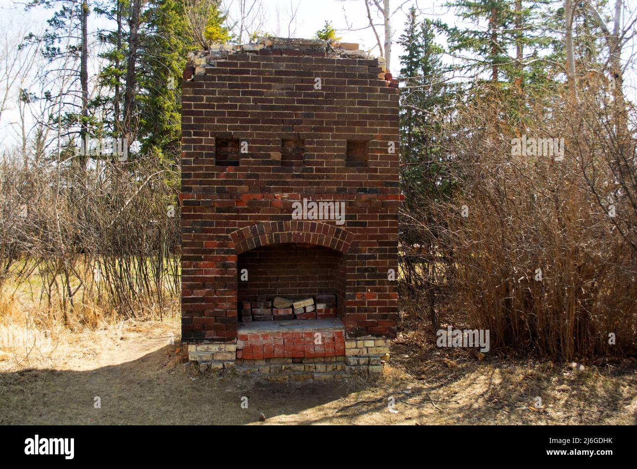 Old Brick Fireplace Remains in the Woods From an Old Ranch House Stock