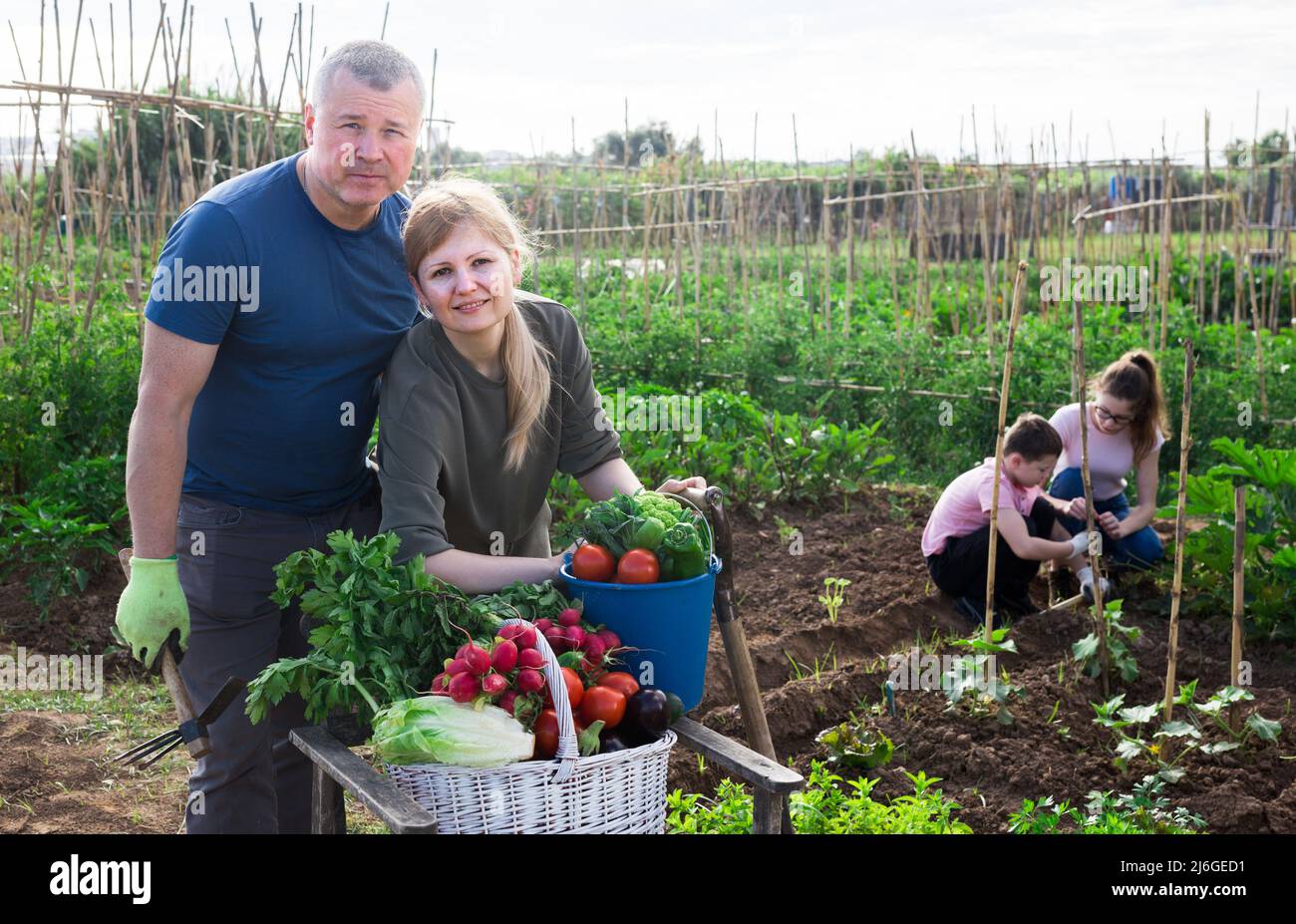 Couple posing in garden with harvested vegetables Stock Photo - Alamy