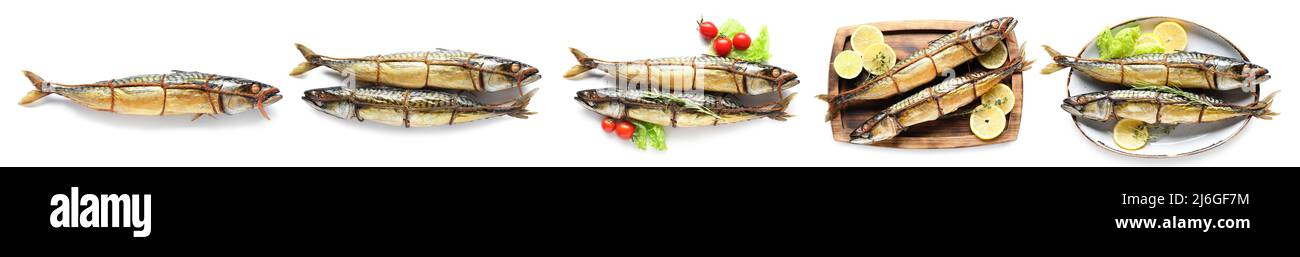 Set of tasty smoked mackerel fish on white background Stock Photo