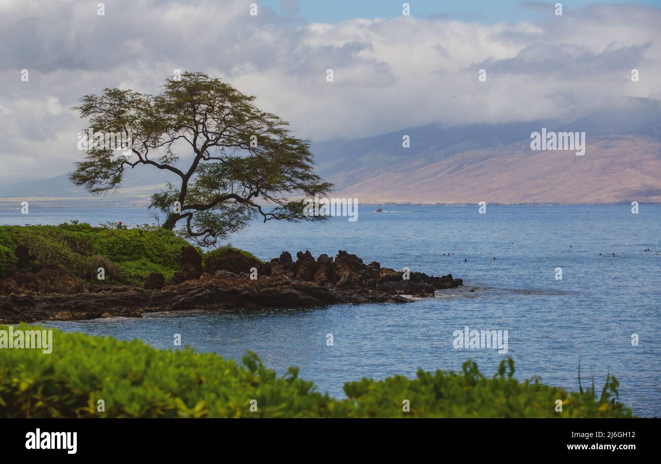 Landscape tranquil beach. Hawaii background, tropical Hawaiian paradise. Stock Photo