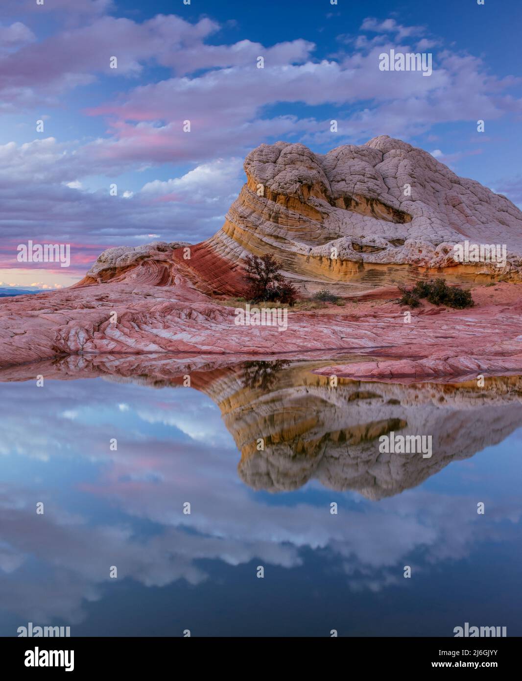 Reflections, Sunset, White Pocket, Vermillion Cliffs National Monument, Arizona Stock Photo