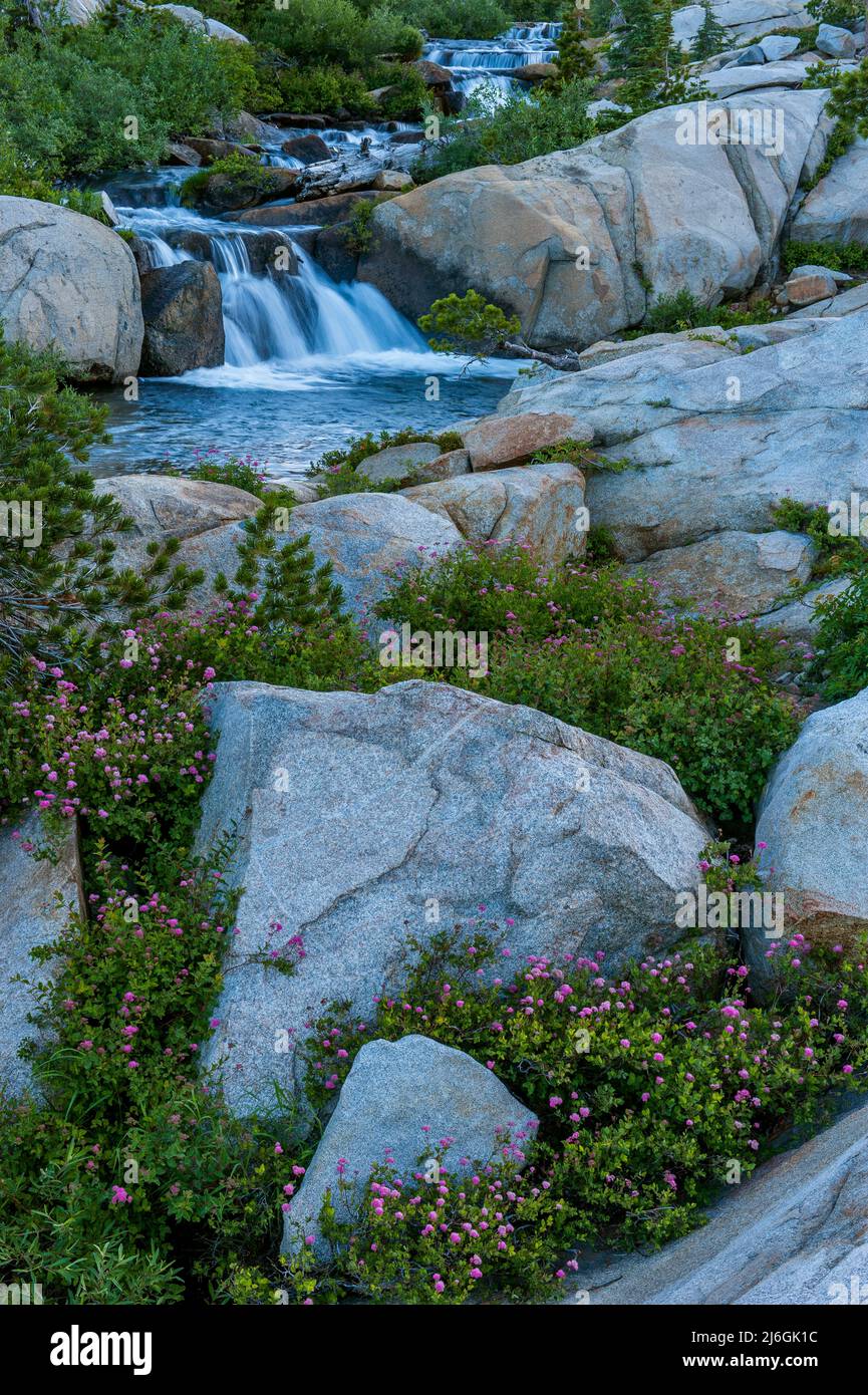 Waterfalls, Silver Creek, Twin Lakes, Desolation Wilderness, El Dorado National Forest, Sierra Nevada, California Stock Photo