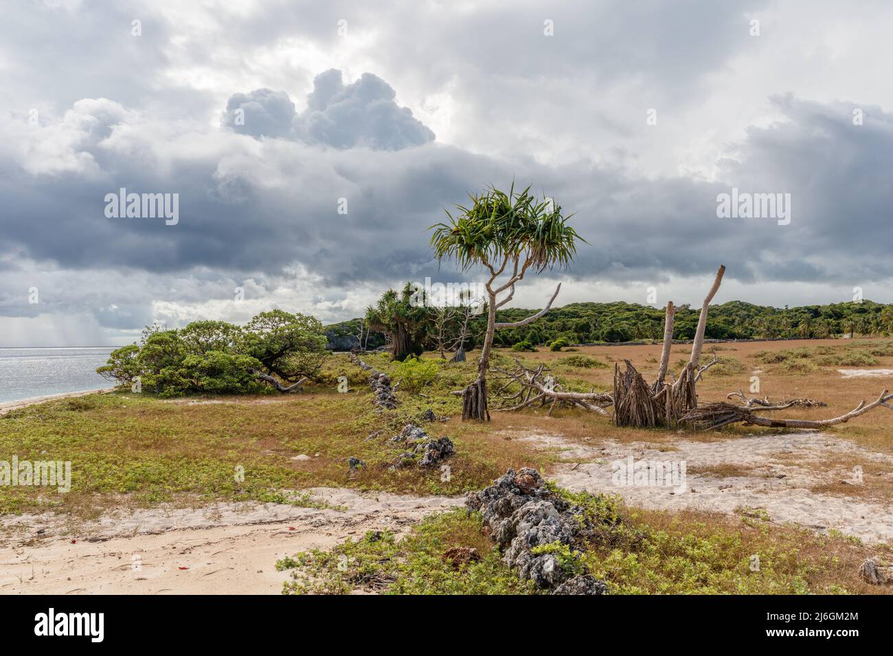 Savanna landscape with stormy clouds of Boa Beach at Rote Island, East Nusa Tenggara province, Indonesia. Stock Photo