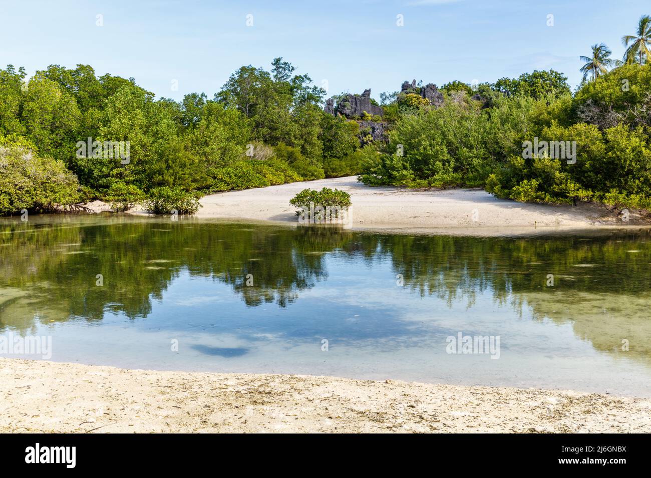 Mangrove forest in Rote Island, East Nusa Tenggara province, Indonesia Stock Photo