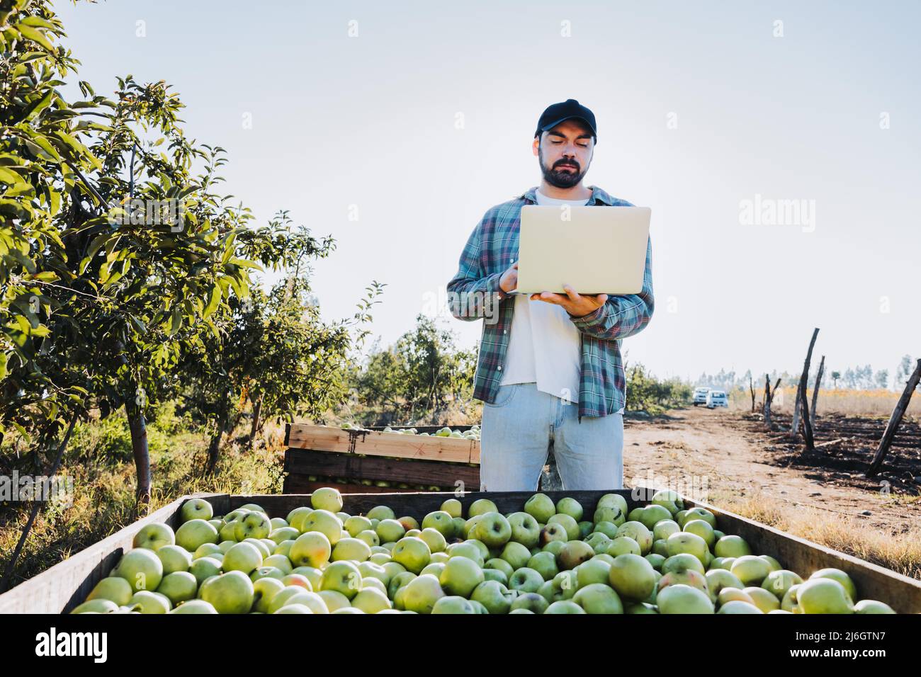 Young latin farmer man teleworking on his laptop beside an apple bin Stock Photo
