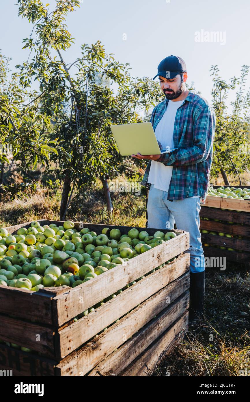 Young latin farmer man teleworking on his laptop in the middle of apple bins Stock Photo