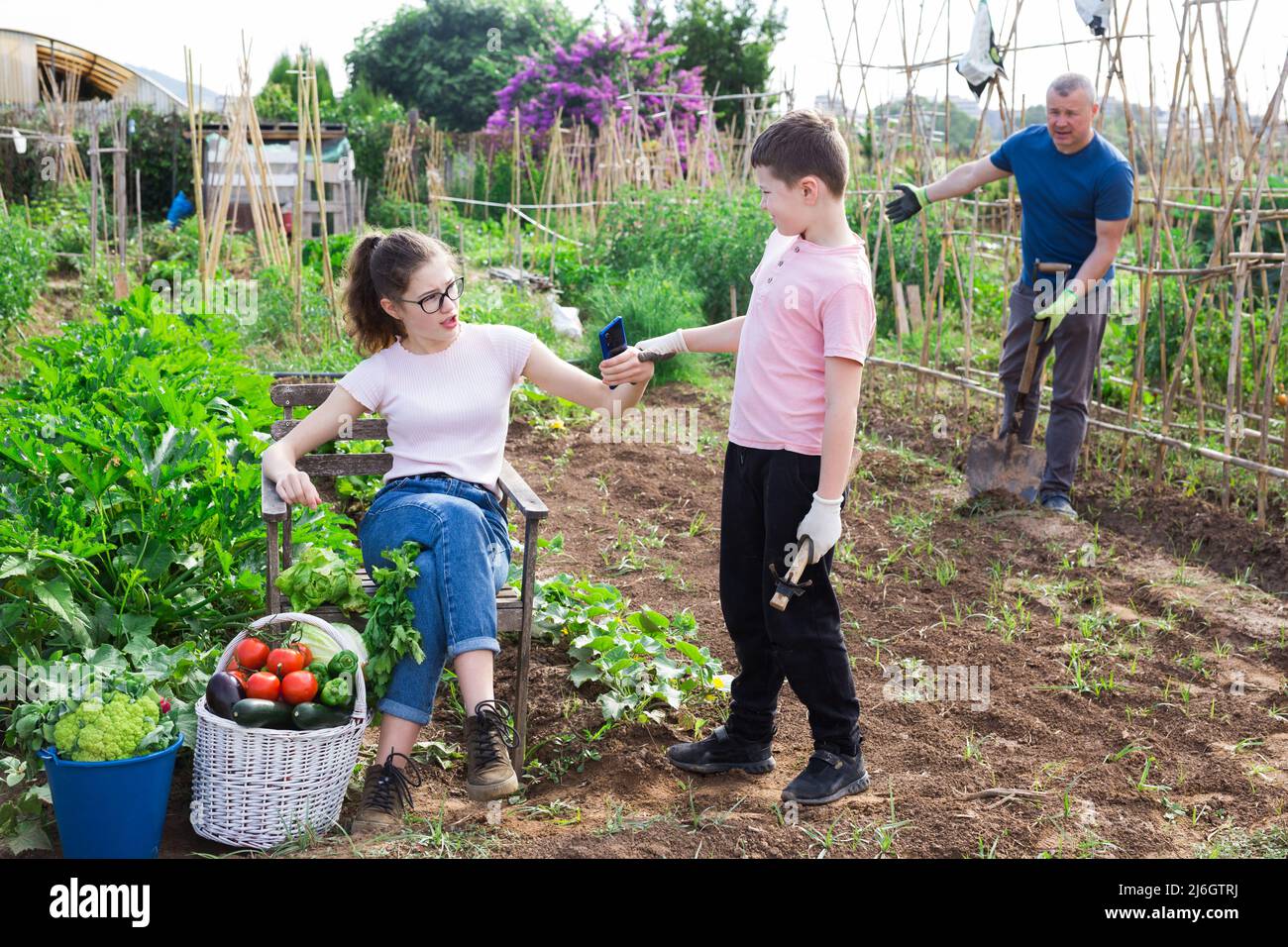 Preteen boy calling sister to work in vegetable garden Stock Photo Alamy