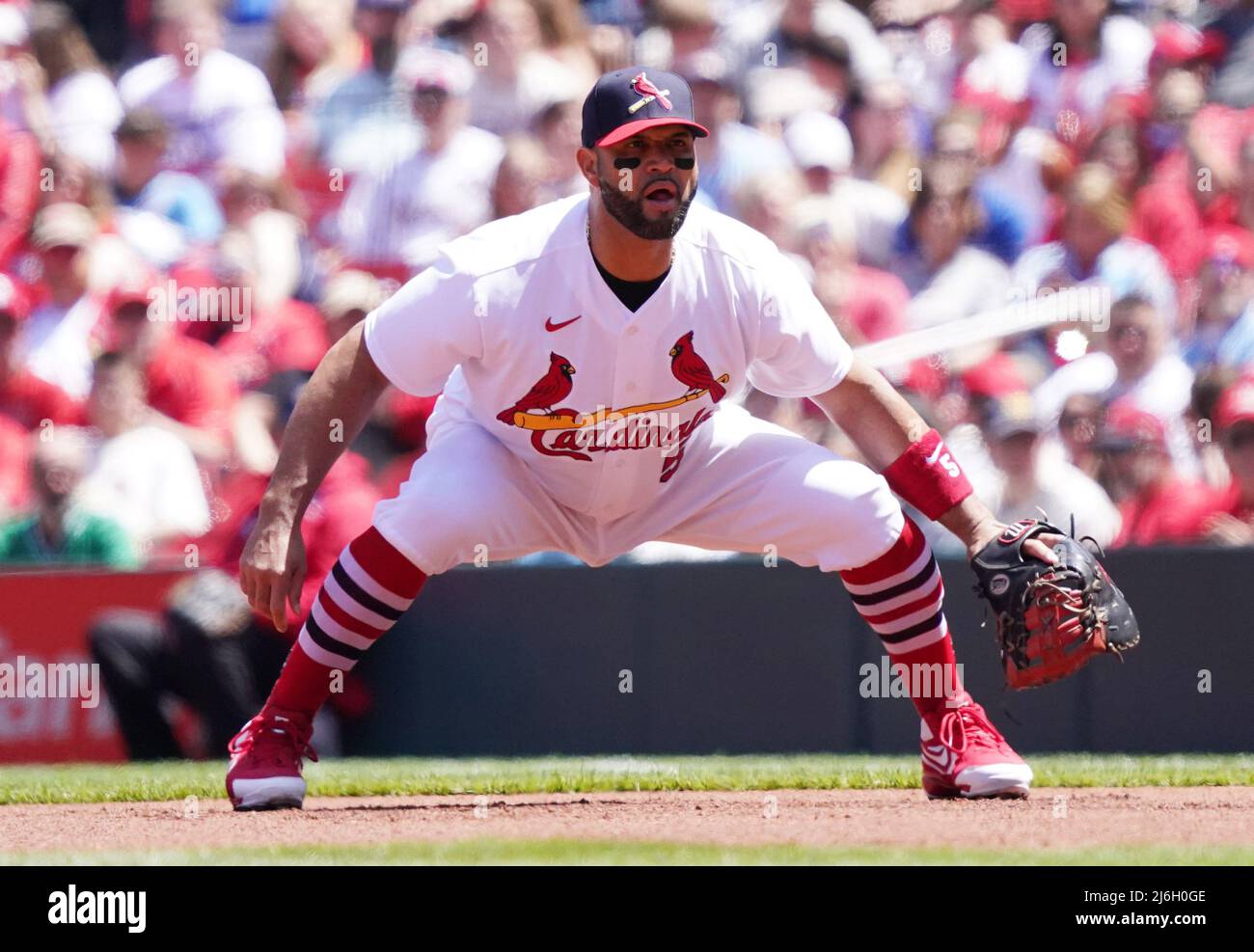 St Louis, USA . 01st May, 2022. St. Louis Cardinals Albert Pujols sets  himself for the pitch against the Arizona Diamondbacks in the first inning  at Busch Stadium in St. Louis on