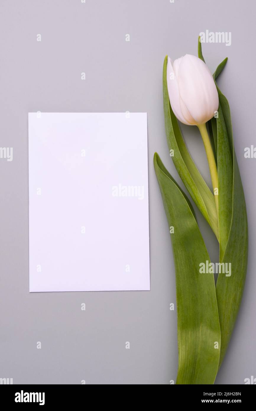 Minimalistic mockup for congratulations or invitations Stock Photo