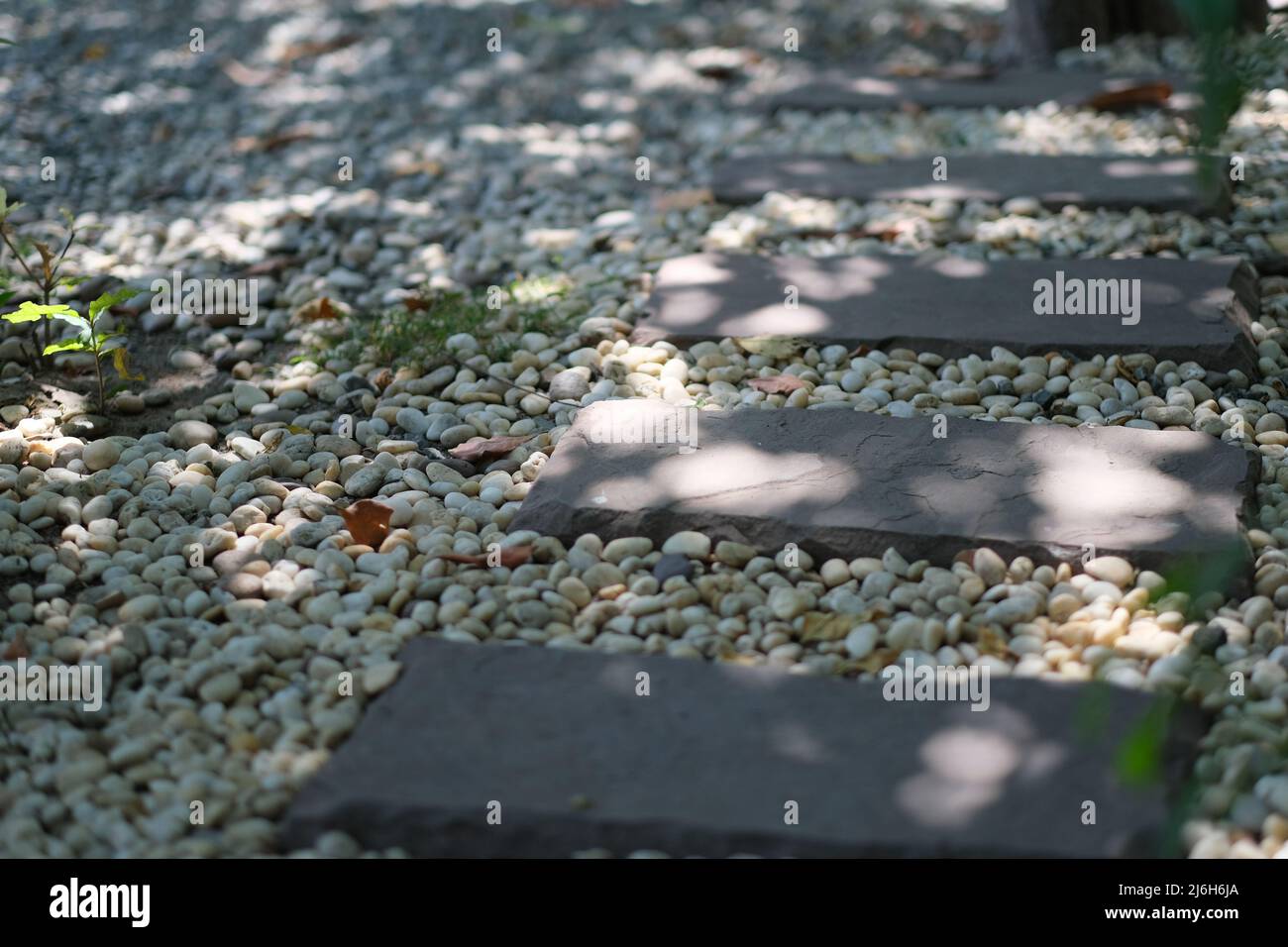 A walkway through garden made of neatly arranged stone tiles and a gravel Stock Photo