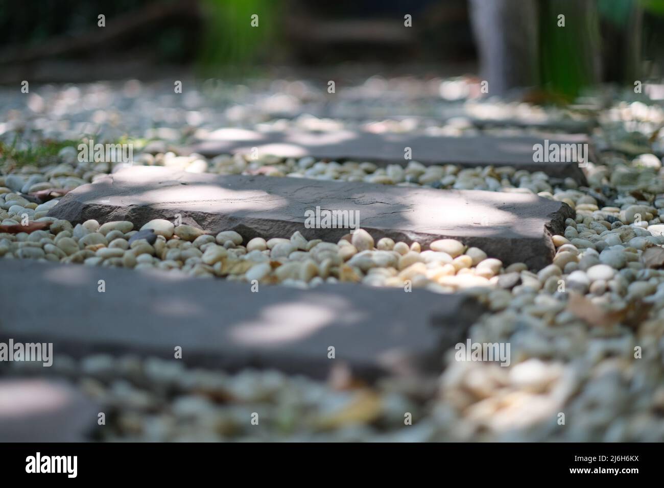 A walkway through garden made of neatly arranged stone tiles and a gravel Stock Photo