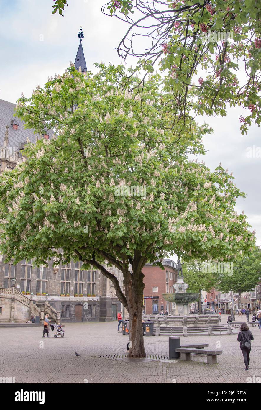 teilzeit jobs aachen aquis plaza