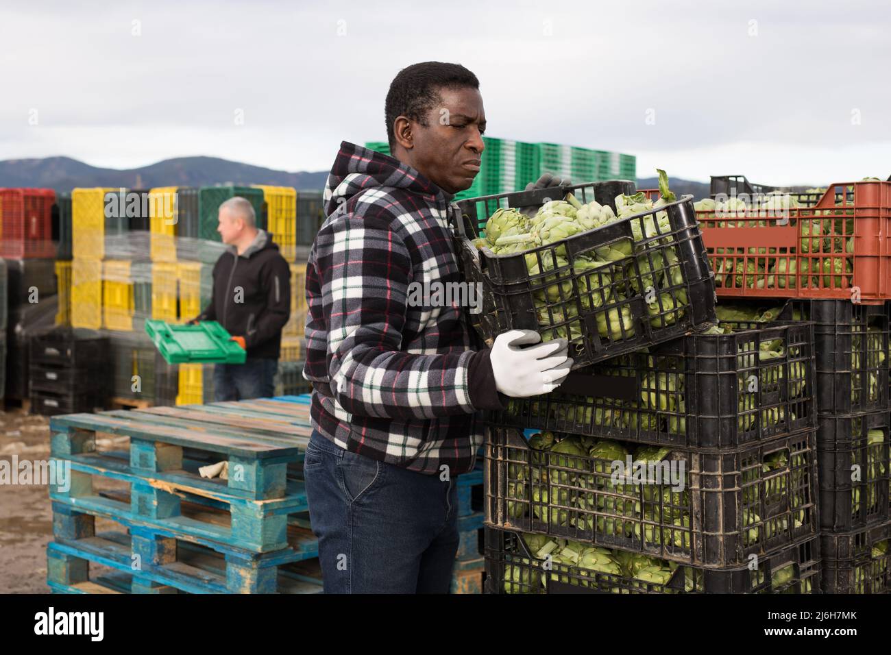 African american worker packing hi-res stock photography and images - Alamy