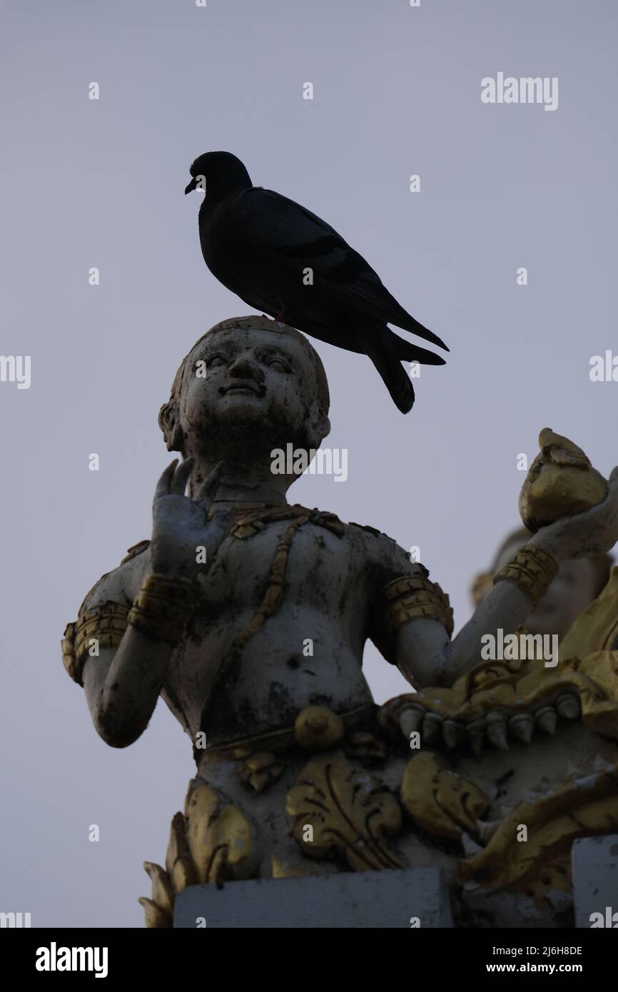A proud rock pigeon relaxes on a head of human-like figurine Stock Photo