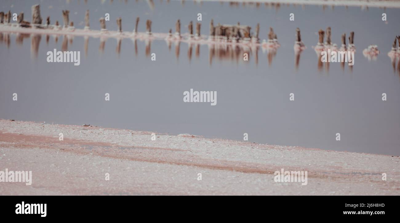 Pink salt crystals. Natural pink salt lake texture. Salt mining ...