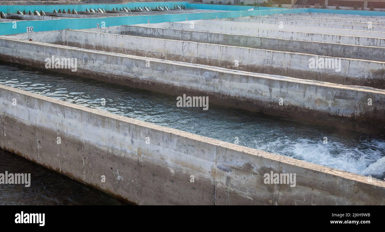 Cultivation of golden trout and other fish in concrete pools. Trout ...