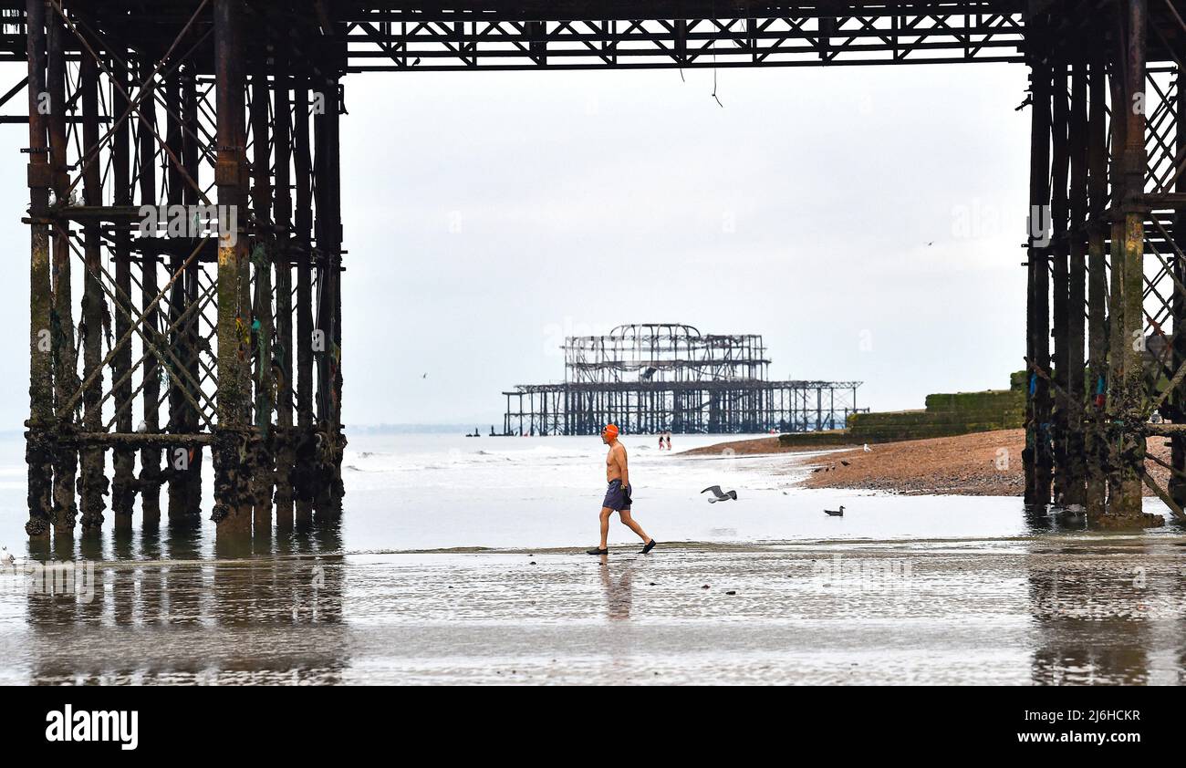 Brighton UK 2nd May 2022 - A member of Brighton Swimming Club heads into the sea at low tide on a cloudy May Bank Holiday morning with the West Pier in the background : Credit Simon Dack / Alamy Live News Stock Photo