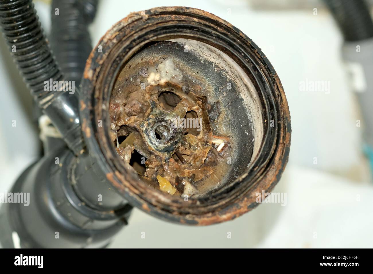 Kitchen sink siphon. Old dirty drain system from the kitchen. A coating