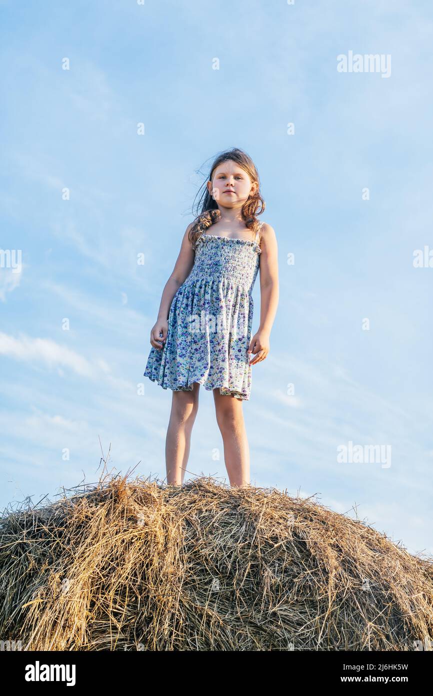 Portrait of little girl in dress staying on haystack in field. Light sunny day. Clear sky on background. Vertical photo Stock Photo