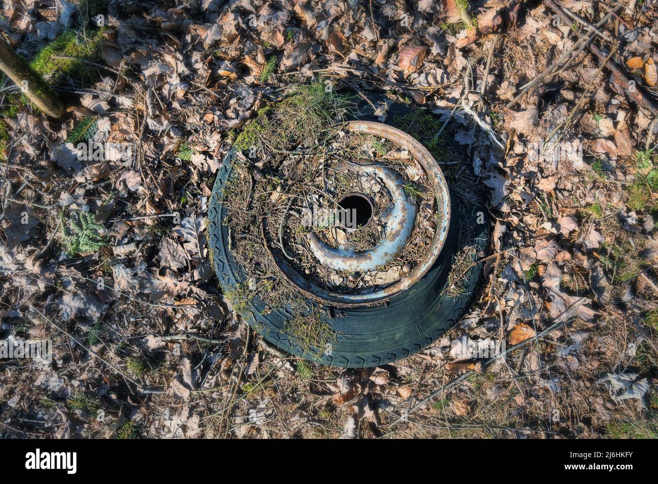 Tire worn out and dumped in a forest Stock Photo