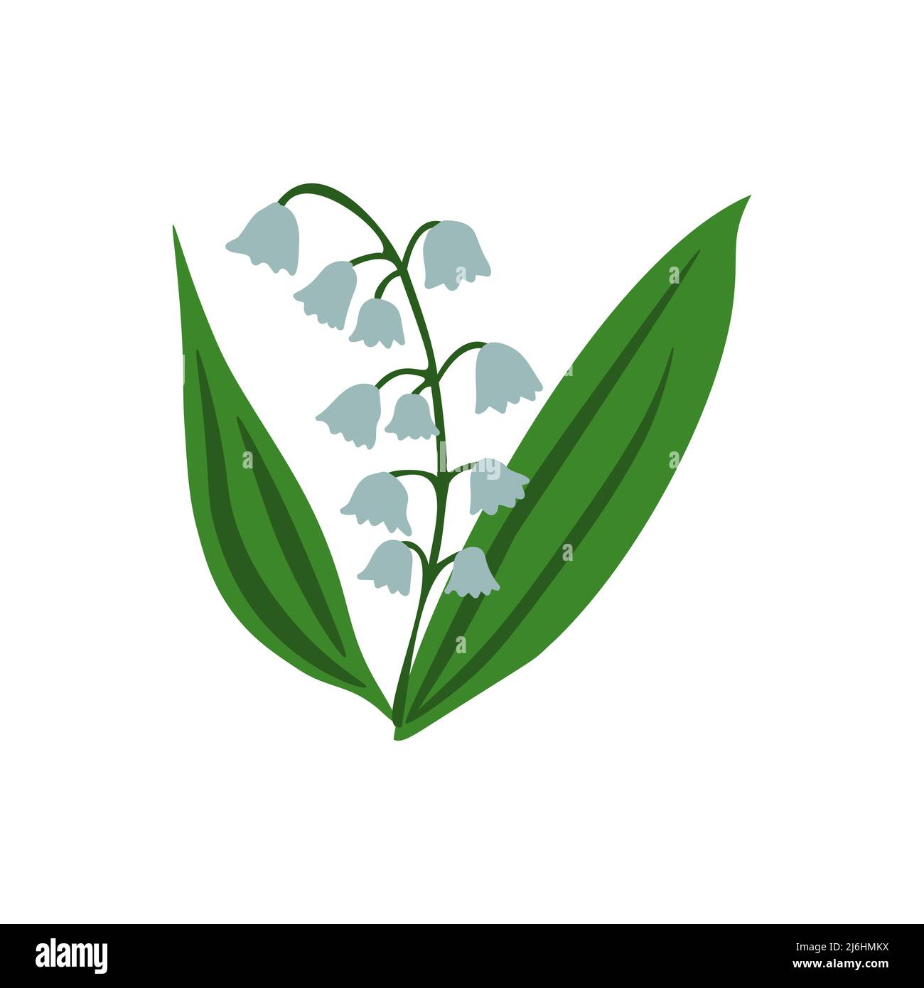 Lily of the valley vector isolated flower Stock Vector Image & Art - Alamy