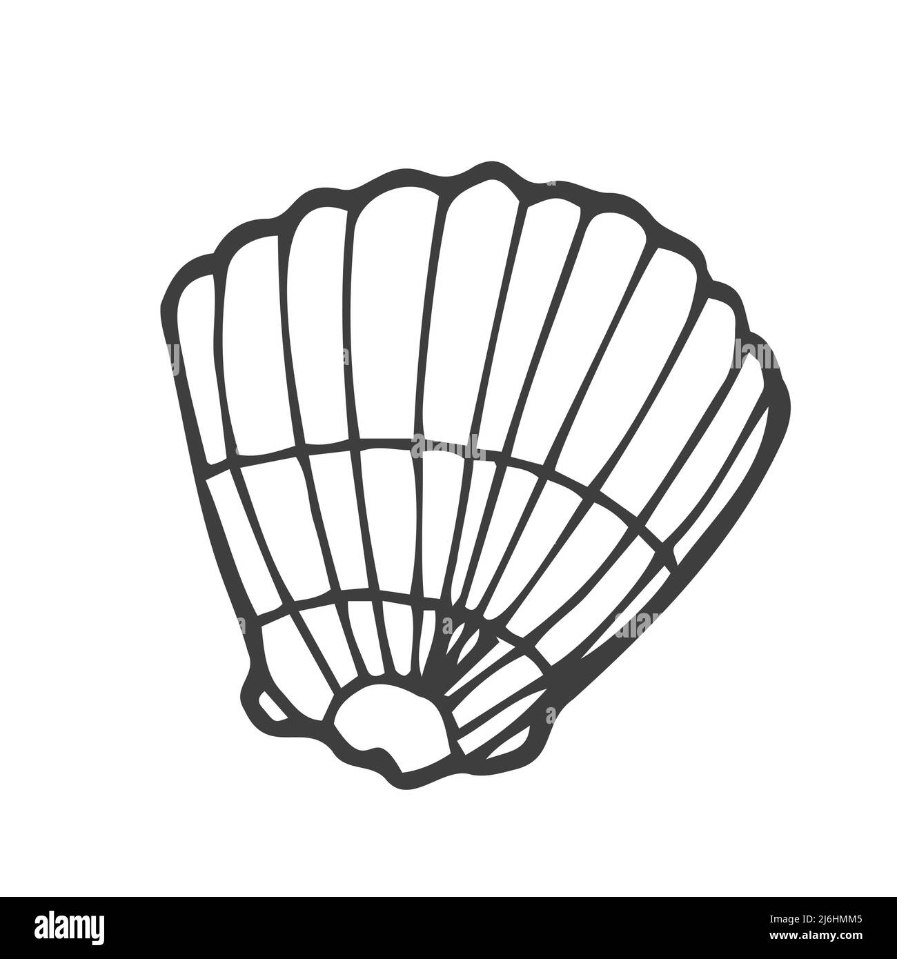Sea shell on white background vector illustration. Stock Vector