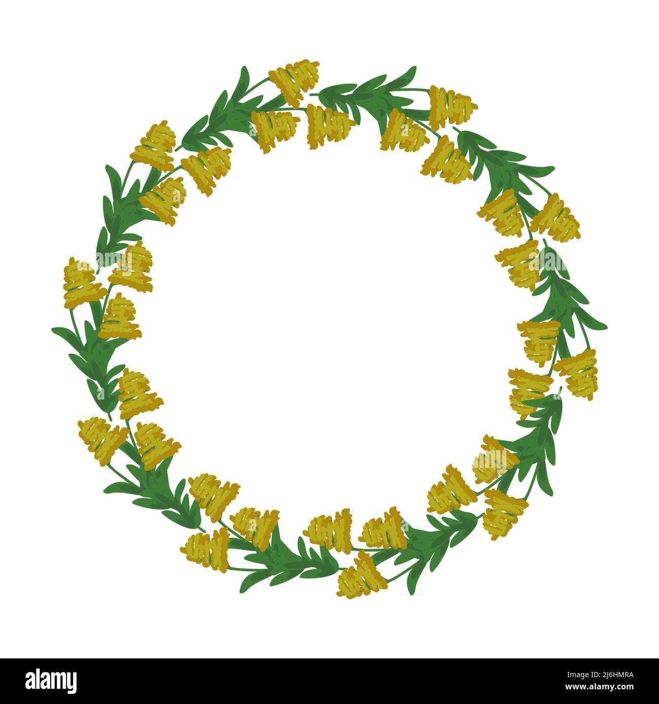 Decorative vector simple floral frame Stock Vector Image & Art - Alamy