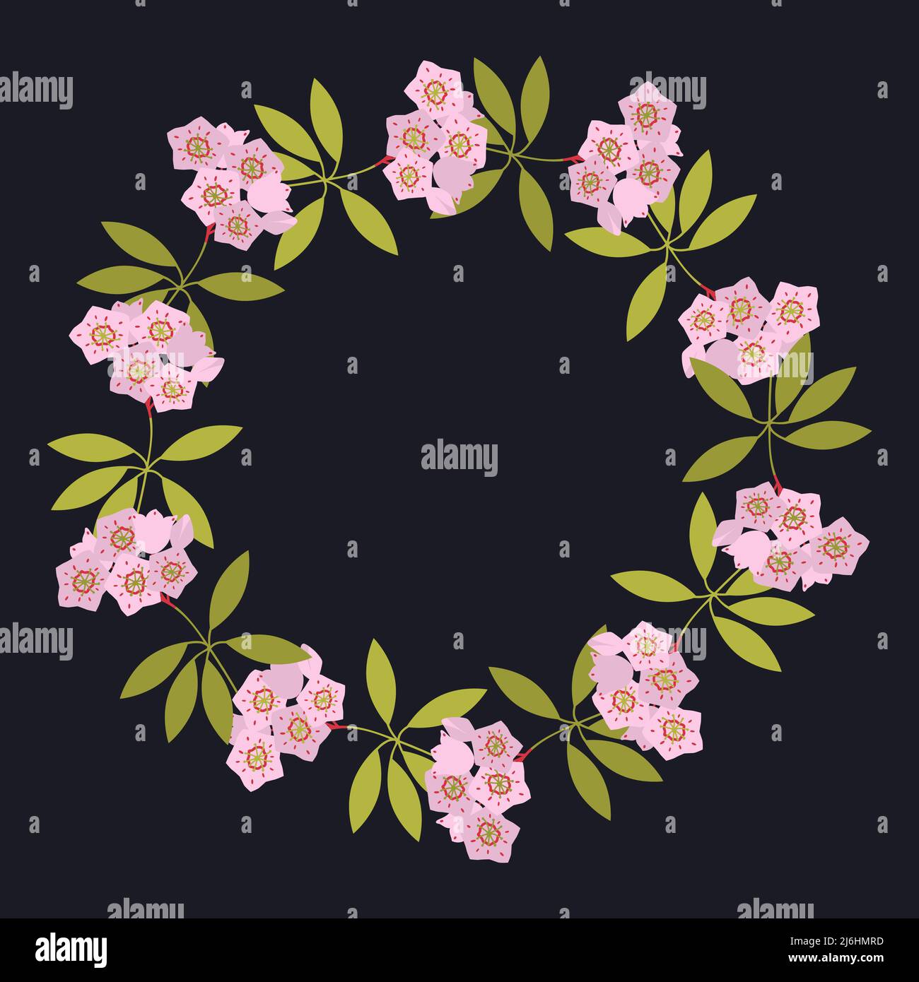 Simple vector floral decorative frame Stock Vector Image & Art - Alamy