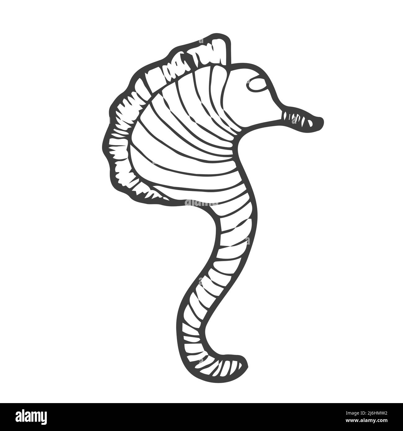 Seahorse - an inhabitant of the ocean - vector linear picture for coloring. Fish seahorse - underwater life for a coloring book. Outline. Stock Vector