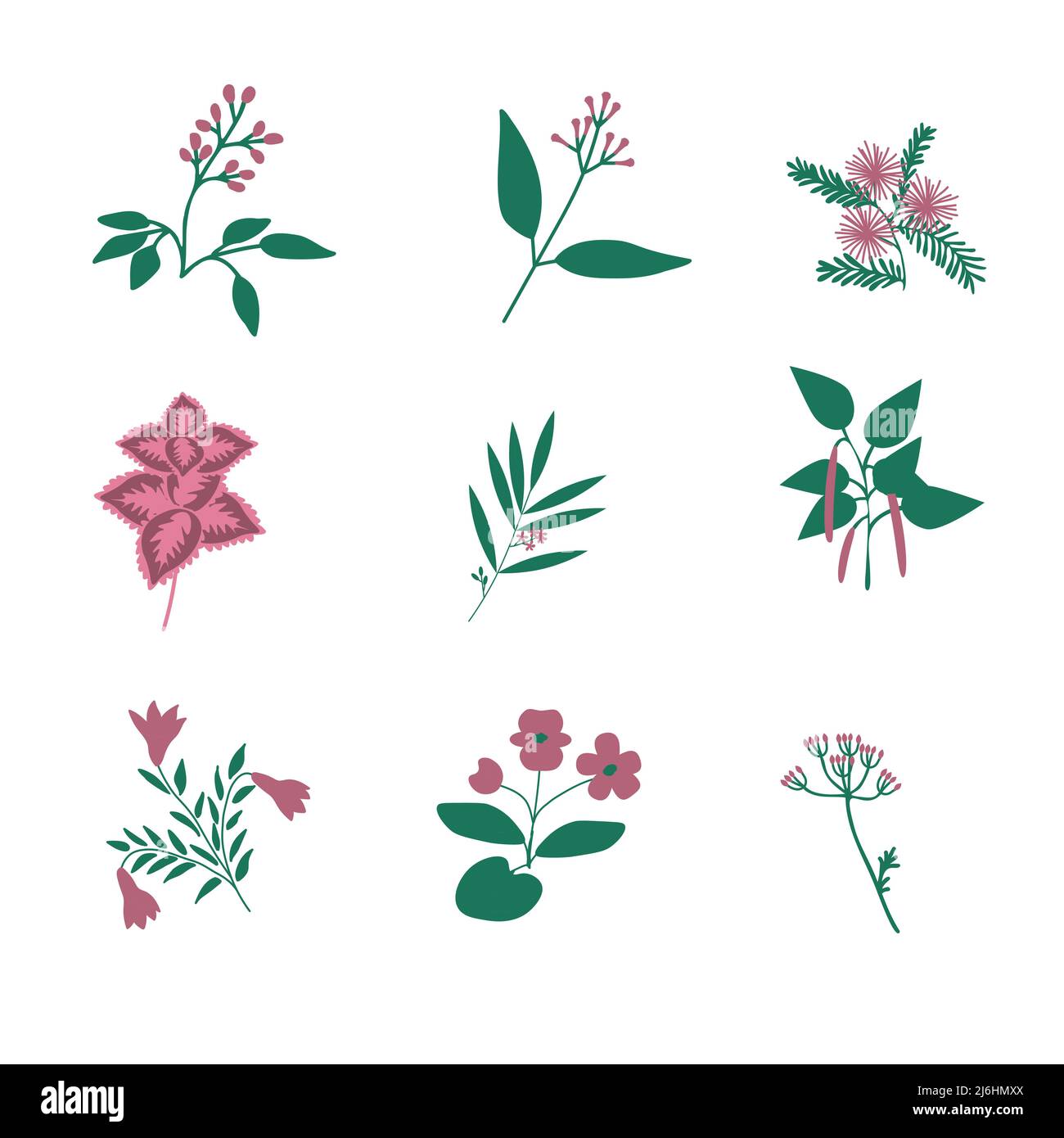 Pink tropical flowers isolated set Stock Vector Image & Art - Alamy