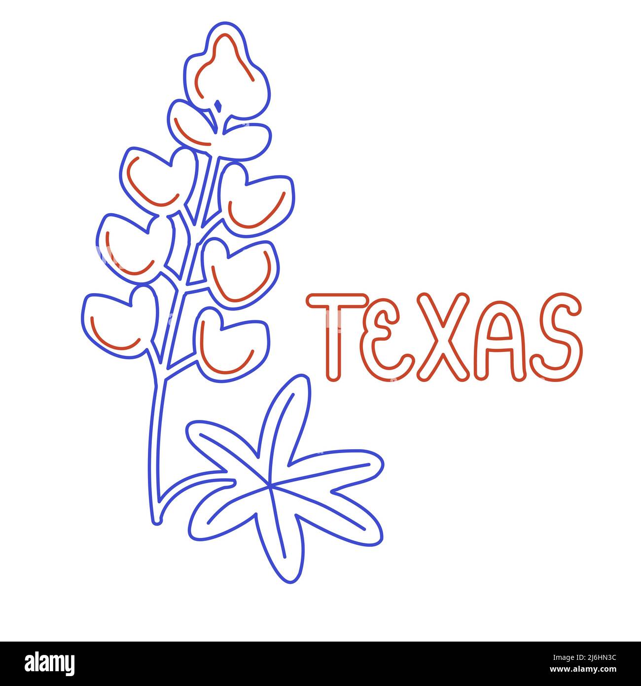 State Texas bluebonnet vector symbol Stock Vector Image & Art - Alamy