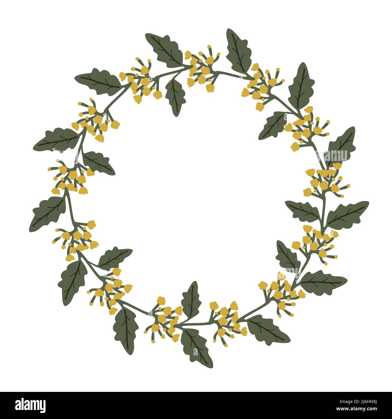 Decorative vector simple floral frame Stock Vector Image & Art - Alamy
