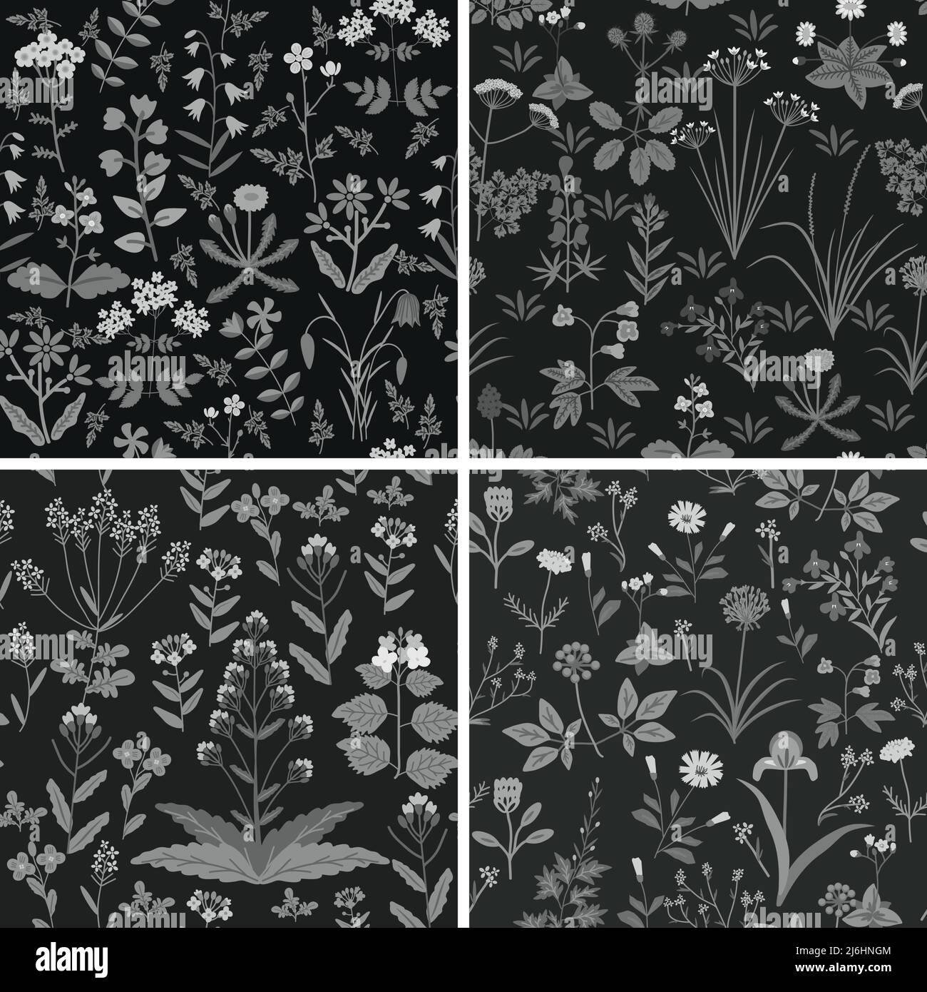 Seamless decorative vector floral patterns set Stock Vector Image & Art ...