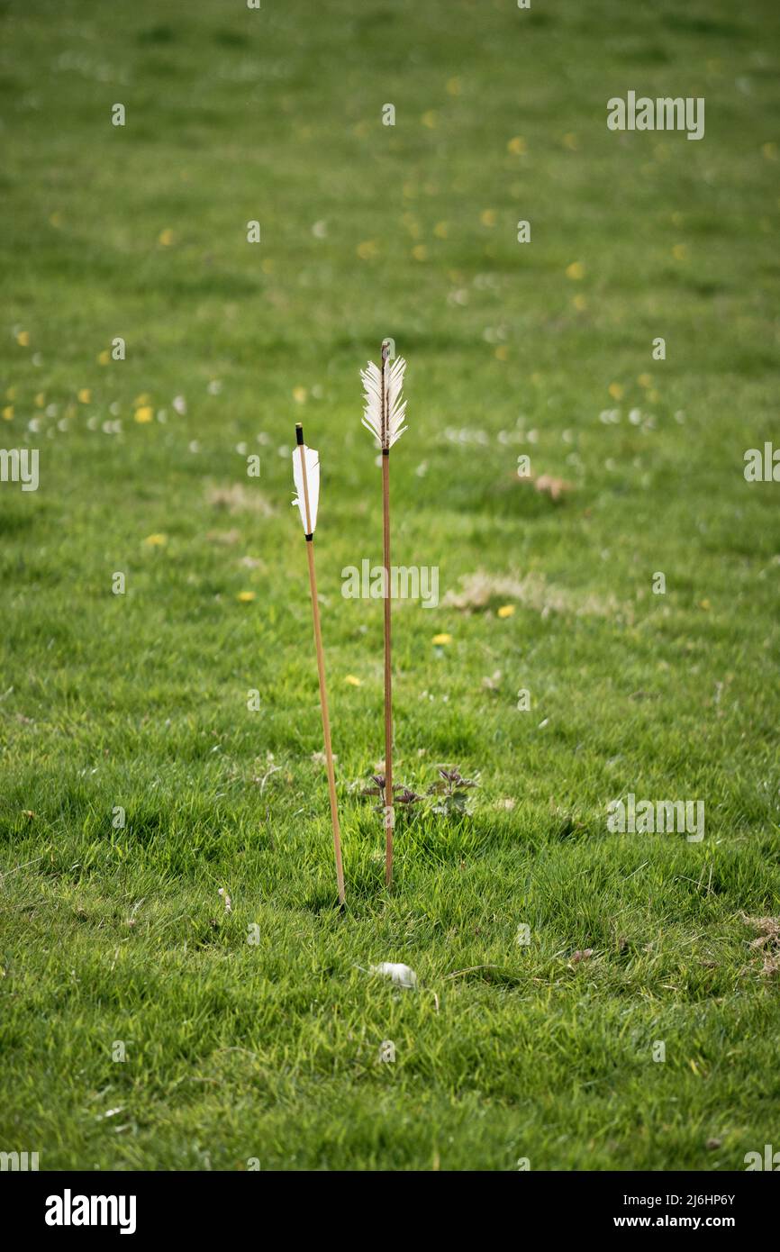 A pair of arrows, backlit by the sun, sticking in a grass field at No Man's Land 2022, Bodrhyddan Hall, Wales Stock Photo