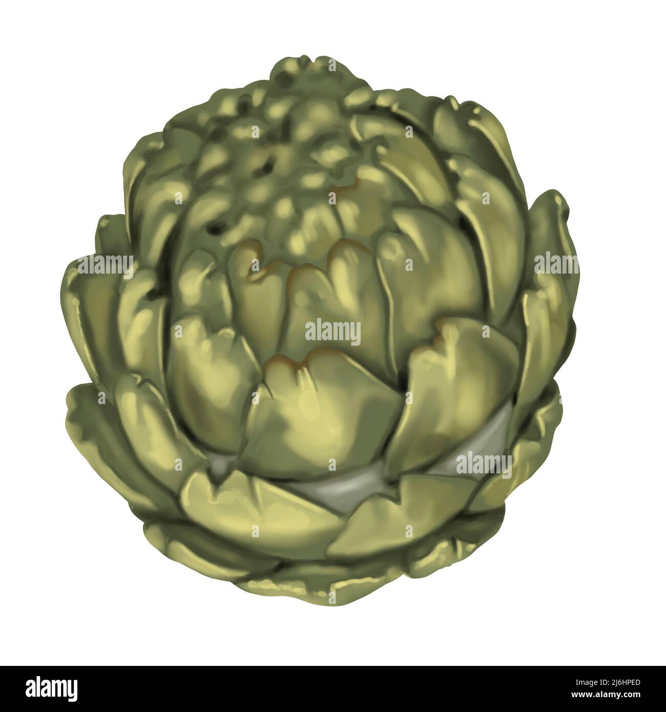 Artichoke. watercolor green Artichoke. A flower is realistic on a ...