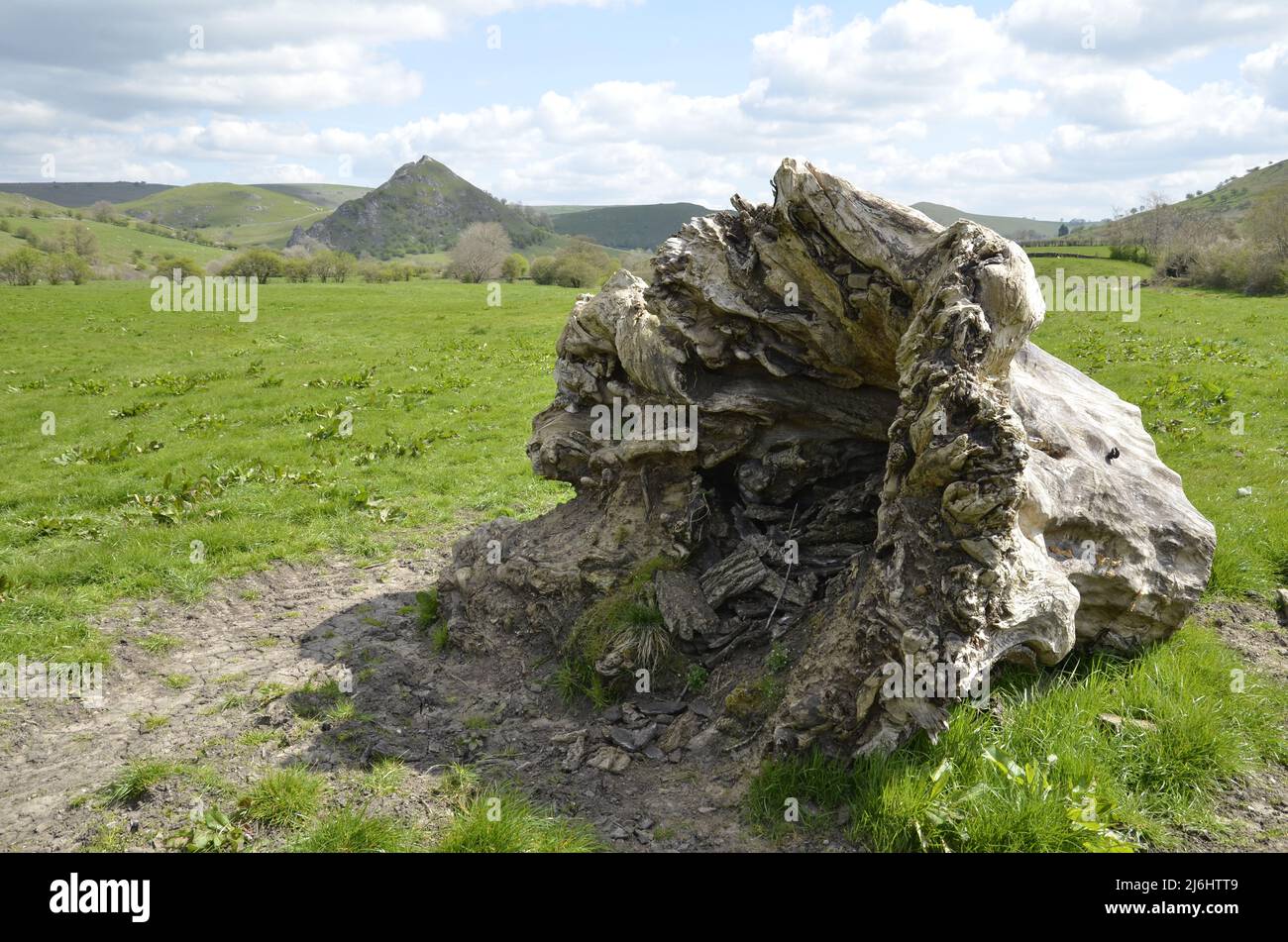Chrome Hill in the Derbyshire Peak District, an example of a Reef knoll Stock Photo