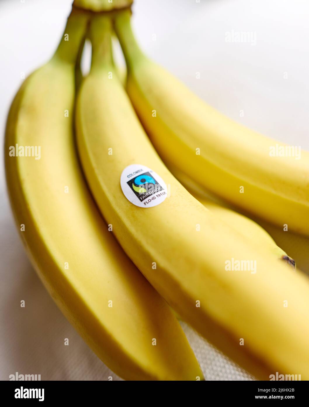Bunch of Fairtrade Bananas Stock Photo