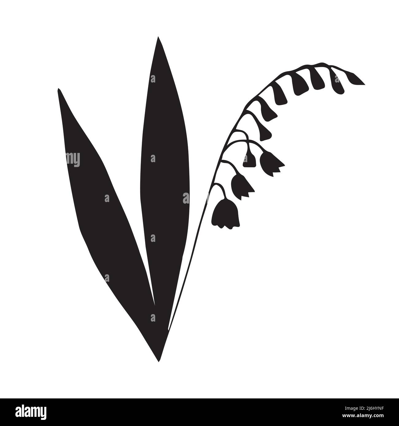 Vector hand drawn doodle sketch lily of the valley flower silhouette ...